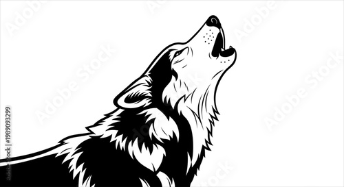Howling wolf illustration with detailed fur and strong silhouette on white background
