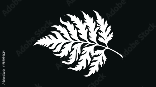 A white illustration of a detailed fern leaf on a black background