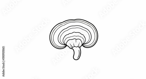 Black and white line drawing of a mushroom with layered cap and stem