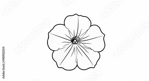 Black and white line drawing of a single five-petaled flower
