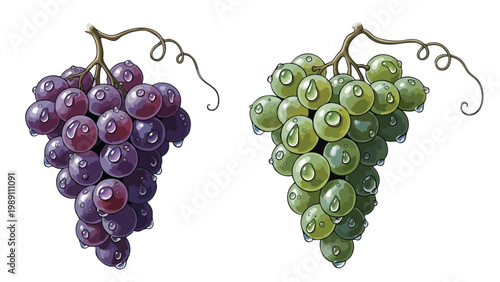 Fresh Red & Green Grapes with Water Droplets - Healthy Fruit Illustration