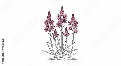 Cluster of delicate pink flowers with spiky blooms atop slender stems