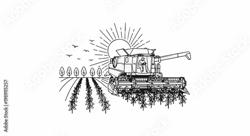 Combine harvester working in a field under a radiant sun, with birds flying