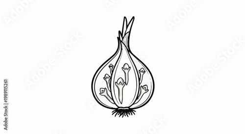 Cross-section of a bulbous plant showcasing internal floral buds and roots