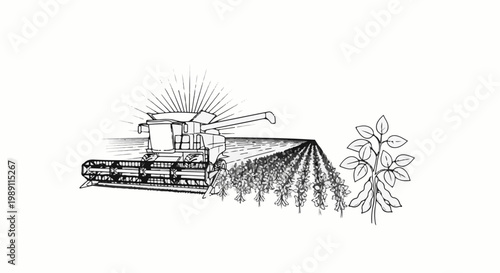 Combine harvester working in a field with sun rays and soybean plants