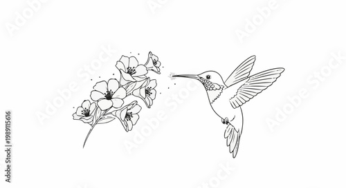 Delicate hummingbird sips nectar from blooming bell-shaped flowers