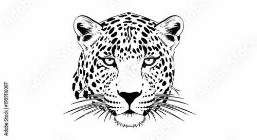 Detailed black and white illustration of a leopard's face, featuring its distinctive spotted coat