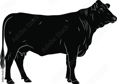 Cow silhouette illustration, farm livestock animal standing pose, detailed cattle design isolated on white background, rural agriculture nature concept