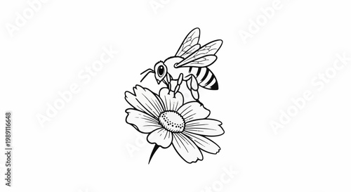 Detailed line drawing of a bee perched on a large flower