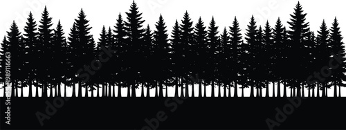 Dense forest silhouette panorama, evergreen pine tree landscape horizon, natural woodland scene isolated on white background, detailed nature illustration