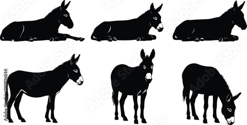 Donkey silhouette set, domestic farm animal poses including standing grazing and resting mule figures isolated on white background illustration