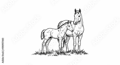 Drawing of a horse and foal standing in grass
