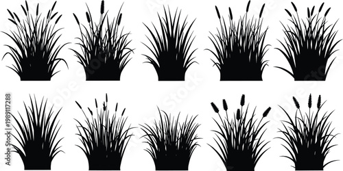 Grass and reed silhouettes vector set, wild meadow plants collection, natural foliage elements, black botanical design isolated on white background
