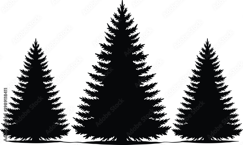 Fototapeta premium Pine tree silhouette set, evergreen conifer trees collection, natural forest elements isolated on white background, detailed nature illustration design
