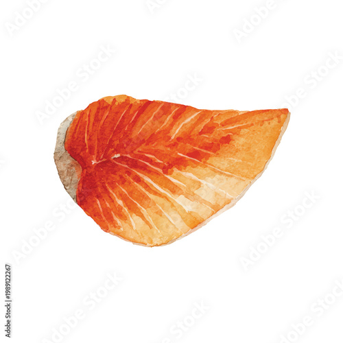 Raw salmon fillet on white background.