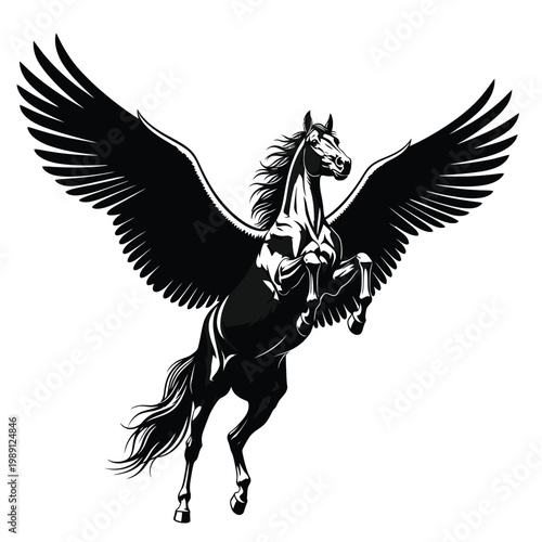 Black and white winged horse 2.