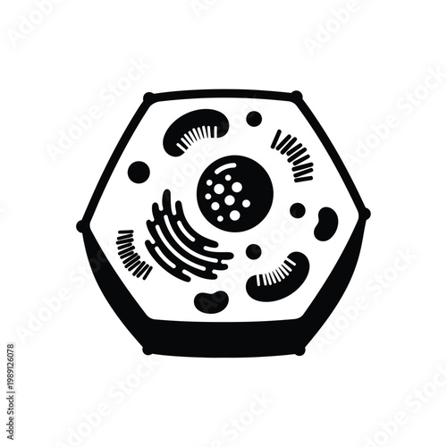 Cell Structure Biology Illustration.