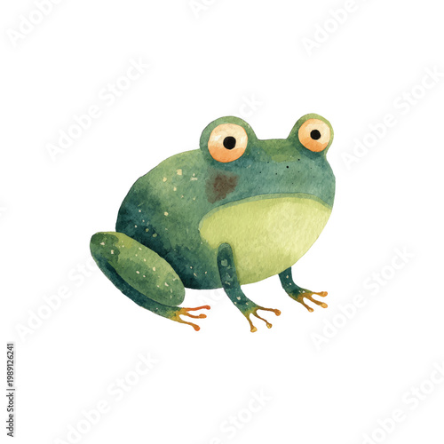 Green Frog Sitting on White Background.