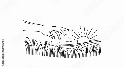 Hand reaching over sunlit wheat field