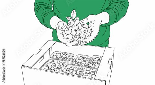 Hands holding a bunch of blueberries over a box of packaged berries