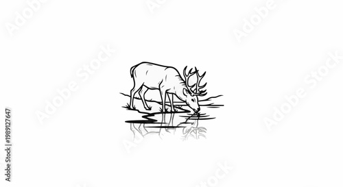 Line art of a deer with antlers drinking from a stream