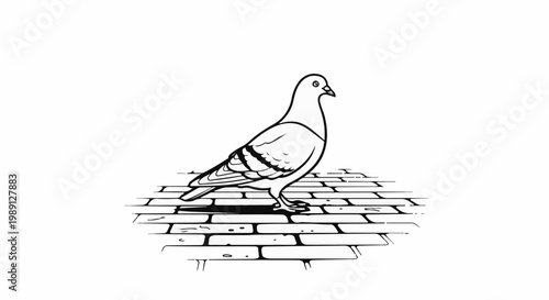 Line art of a pigeon standing on a cobblestone path