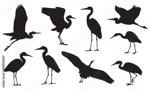 Heron and Crane Silhouettes, Flying and Standing Water Birds