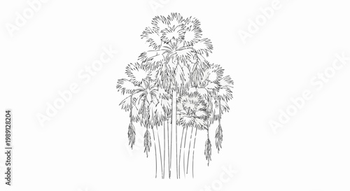Line art drawing of a cluster of palm trees with detailed fronds