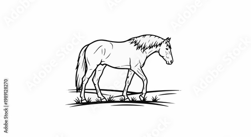 Line art drawing of a horse walking through grass