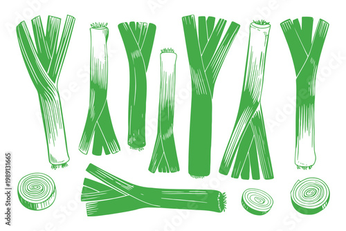 Green leeks set with slices and whole vegetables hand drawn sketch art.