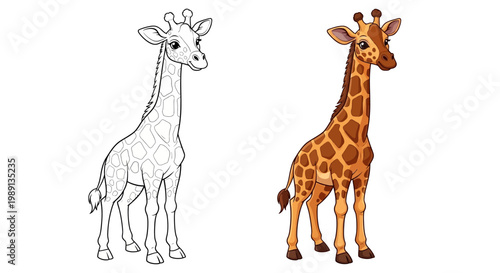 Cute Giraffe Coloring Page and Realistic Vector Illustration