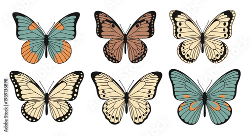 Set of six beautifully patterned butterflies is shown with symmetrical wing designs in various natural colors on a plain background.
