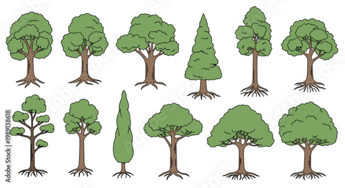 collection of diverse green trees with brown trunks and visible roots presented in a clean line art style for nature designs.