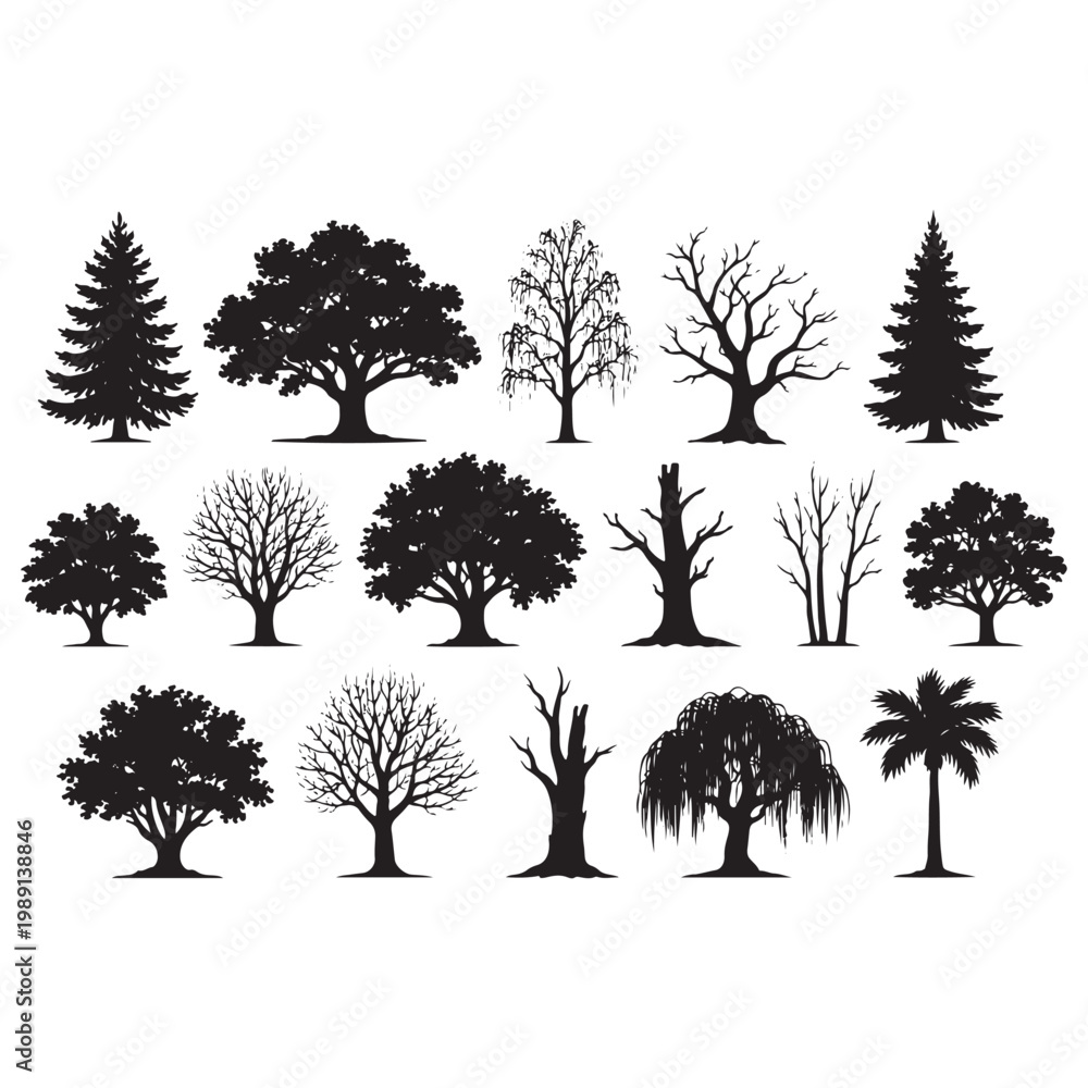 Obraz premium Tree Silhouettes Vector Set – Diverse Deciduous and Coniferous Trees Collection