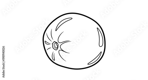 Simple line drawing of an orange with segments and a stem