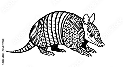 Detailed black and white illustration of an armadillo with textured armor and sharp claws