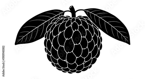 A black and white illustration of a raspberry with leaves.