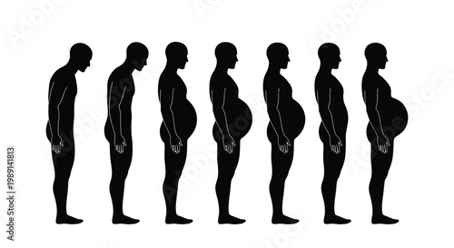 Vector illustration showing a series of human silhouettes displaying the progressive development of abdominal fat mass