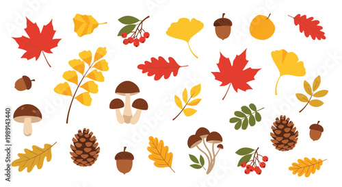 Various autumn elements like colorful leaves, mushrooms, pinecones, and acorns set isolated on a white background.