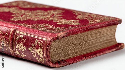 Antique red canvas book cover with gold embossing and floral ornamentation, circa 1870