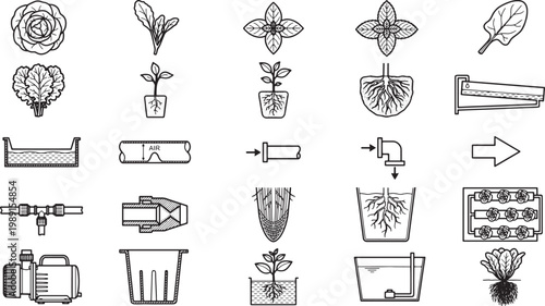 Hydroponic garden concept illustration, showcasing the process.
