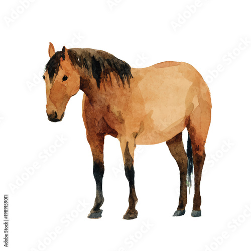 Brown Horse Standing Alone Profile View.