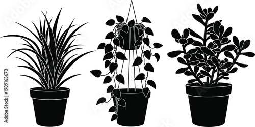 Three black and white potted plants on a white background