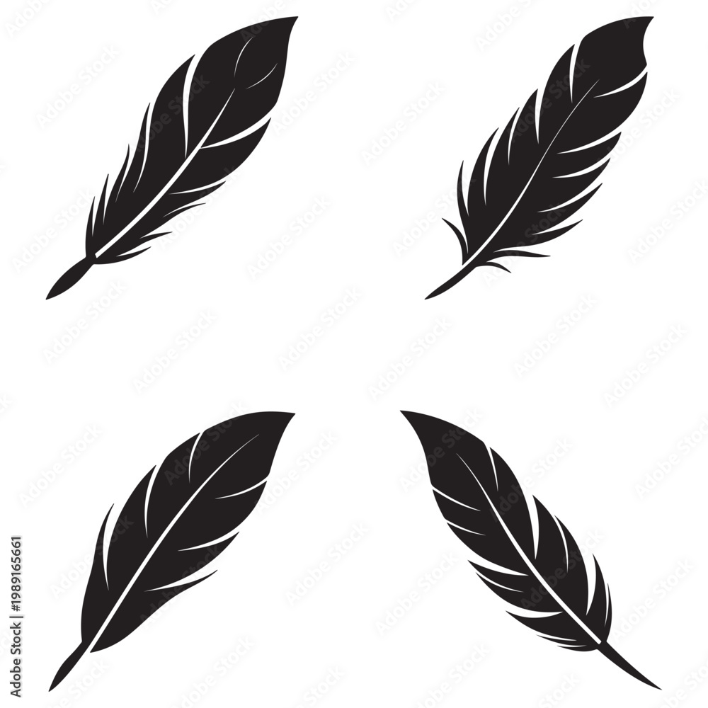 Obraz premium Blackfeathercollection setoffourfeathers feathersilhouettes variousfeathershapes isolatedonwhitebackground