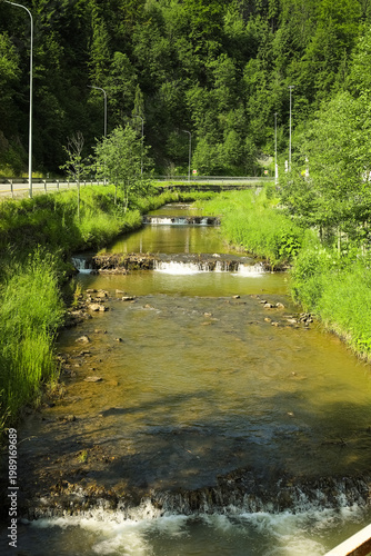 View of beautiful pond and ...