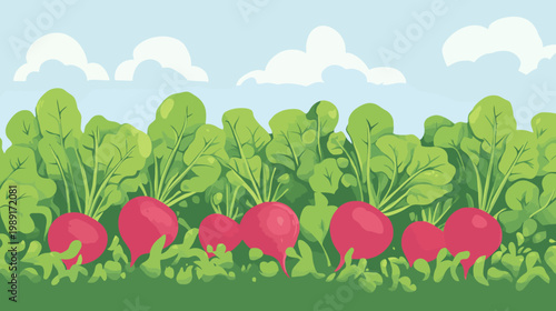 A vibrant illustration showcasing radishes in a garden under a blue sky with fluffy clouds