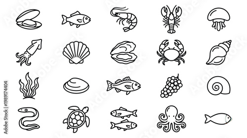 Variety of marine life and shells a hand drawn black and white icon set