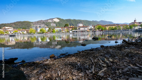 Bosco dei Tassodi di Paratico, Lago d'Iseo, Lombardia - Foresta di cipresso calvo in primavera
