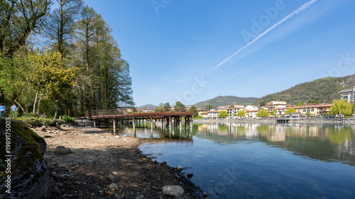 Bosco dei Tassodi di Paratico, Lago d'Iseo, Lombardia - Foresta di cipresso calvo in primavera