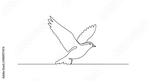Single line drawing of a bird taking flight, minimalist, clean, elegant, freedom concept